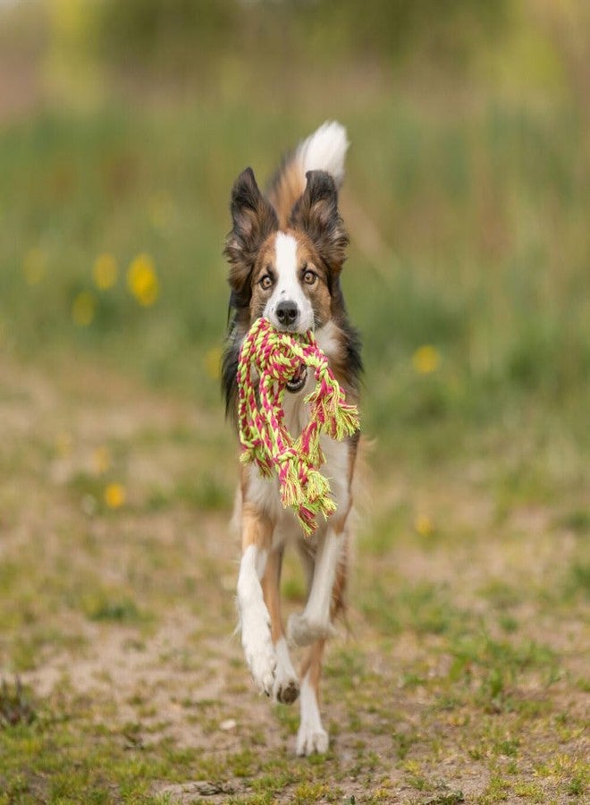 تريكسي لعبة حبل تريكسي دينتا المرحة مع كرة منسوجة للكلاب، 44 × 7 سم (قد يختلف اللون) - Image 4